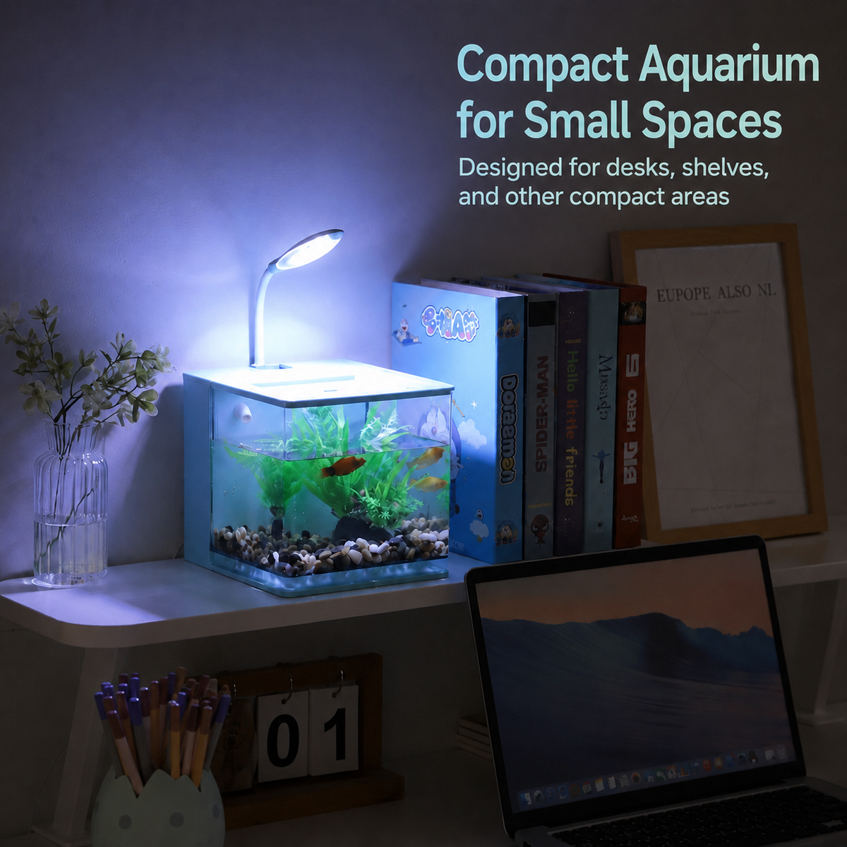 Compact desktop aquarium for small spaces
