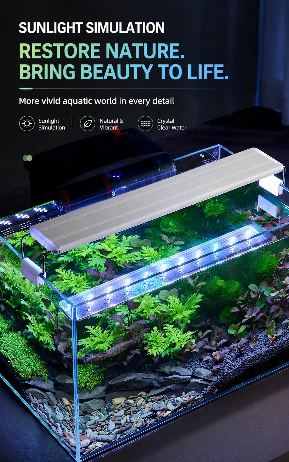 KSY P60 - Specifications