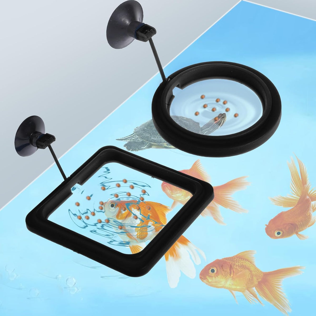 Round and square aquarium feeding rings with suction cups
