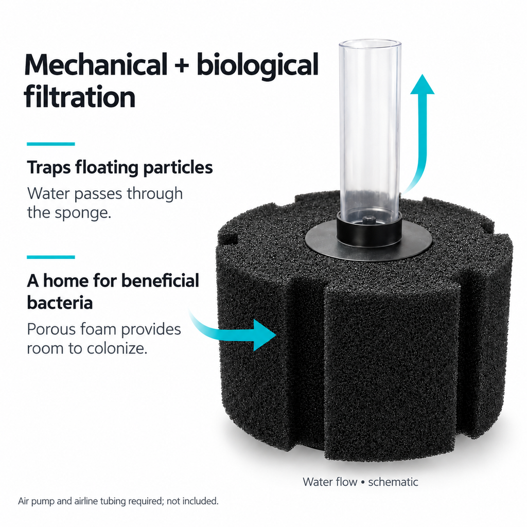 Aquarium sponge filter providing mechanical and biological filtration