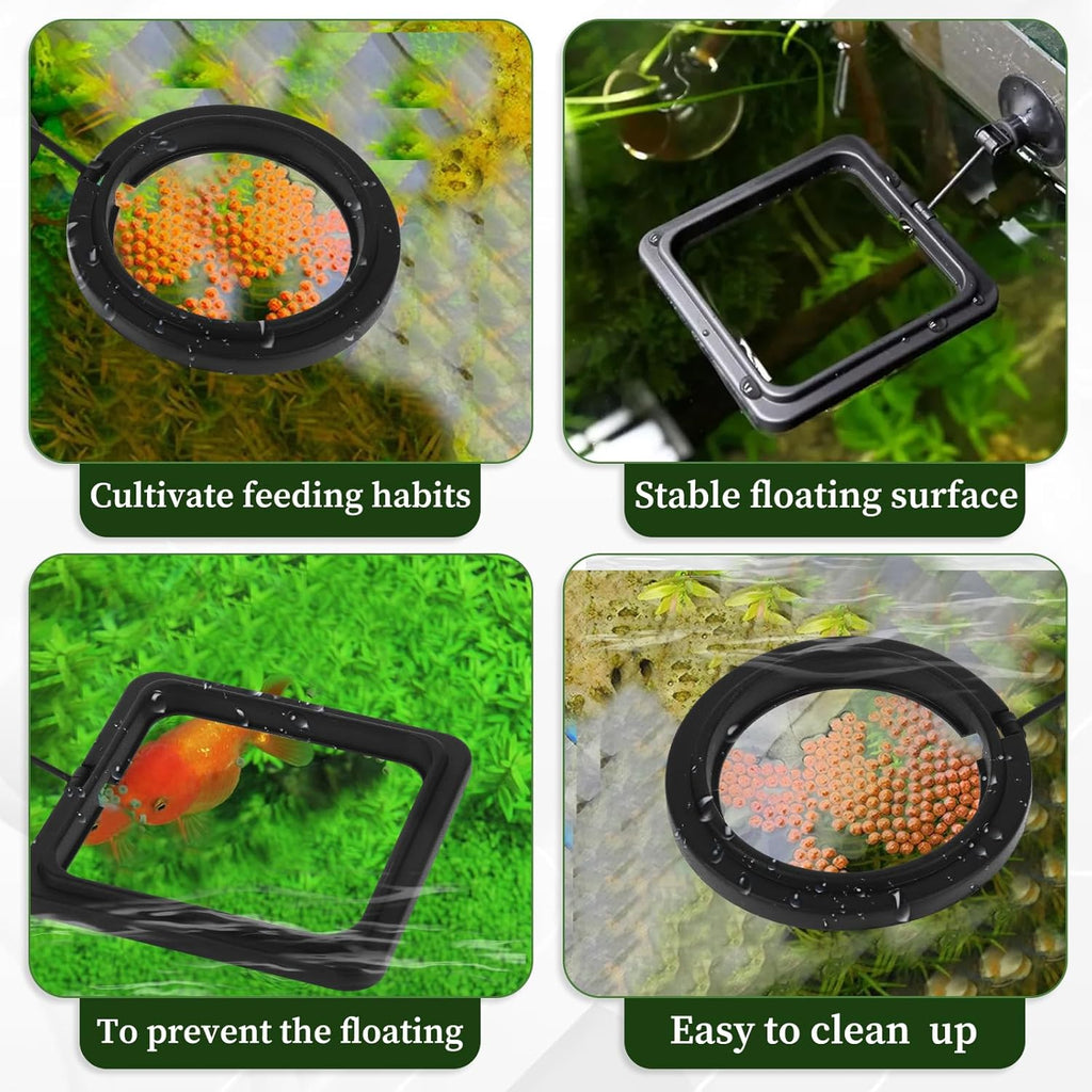 aquarium feeding ring for controlled fish feeding