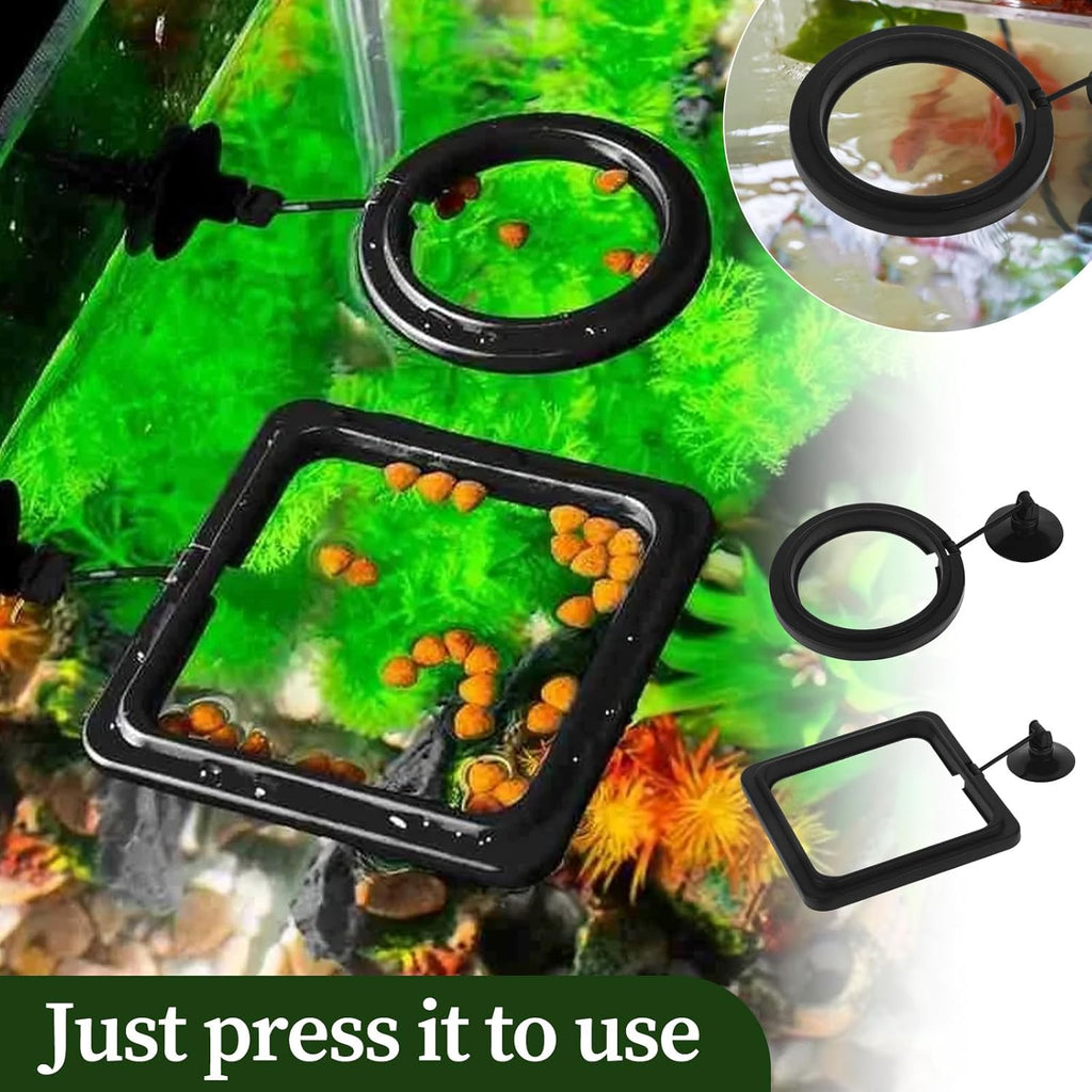 aquarium feeding ring for floating food control