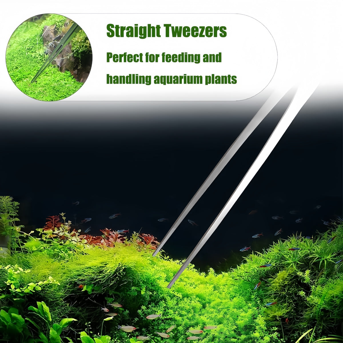 straight tip aquarium tweezers for handling aquarium plants