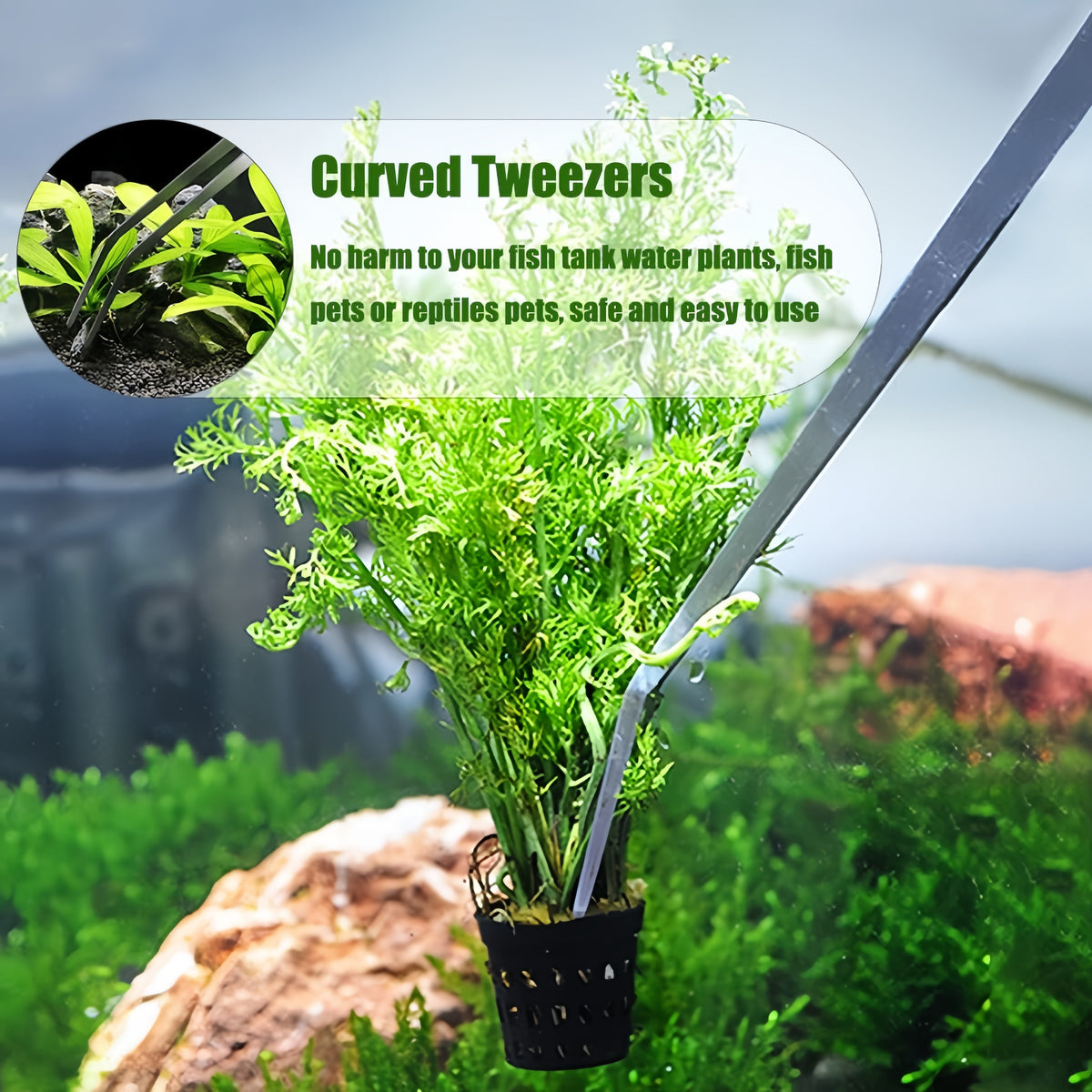 curved tip aquarium tweezers for aquascaping and plant placement